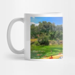 Barton Springs at Zilker Park - Austin, Texas Mug